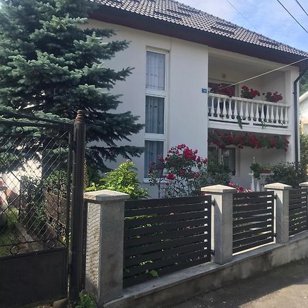 Pensiunea Grapini Sant Exterior photo