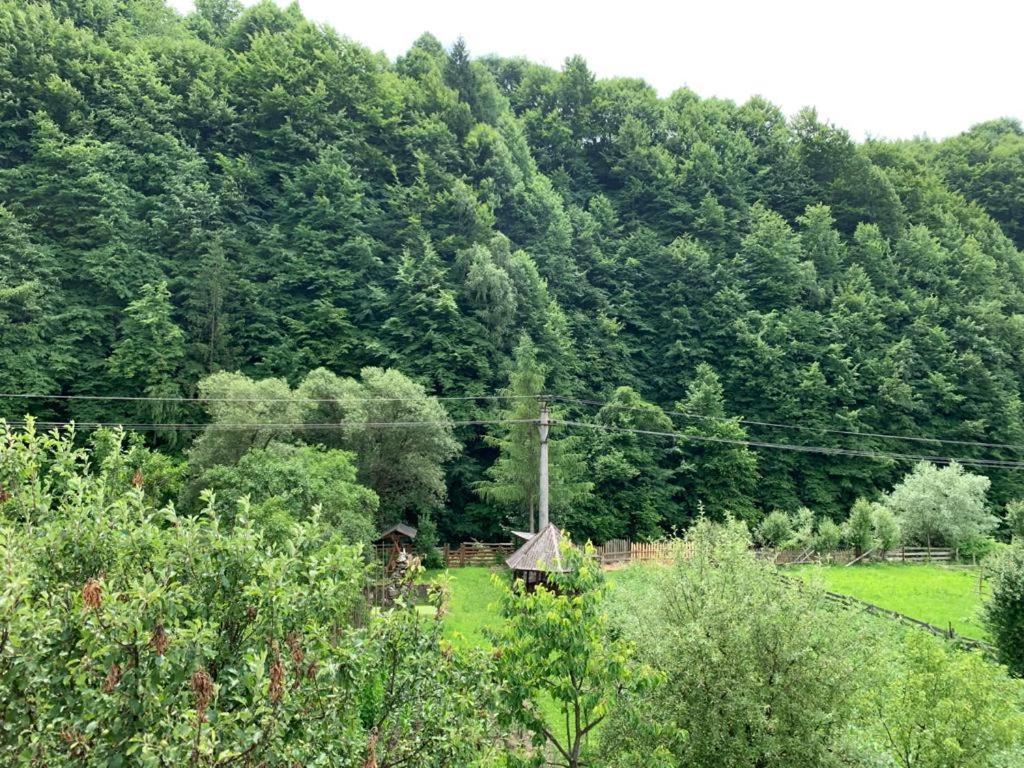 Pensiunea Grapini Sant Exterior photo